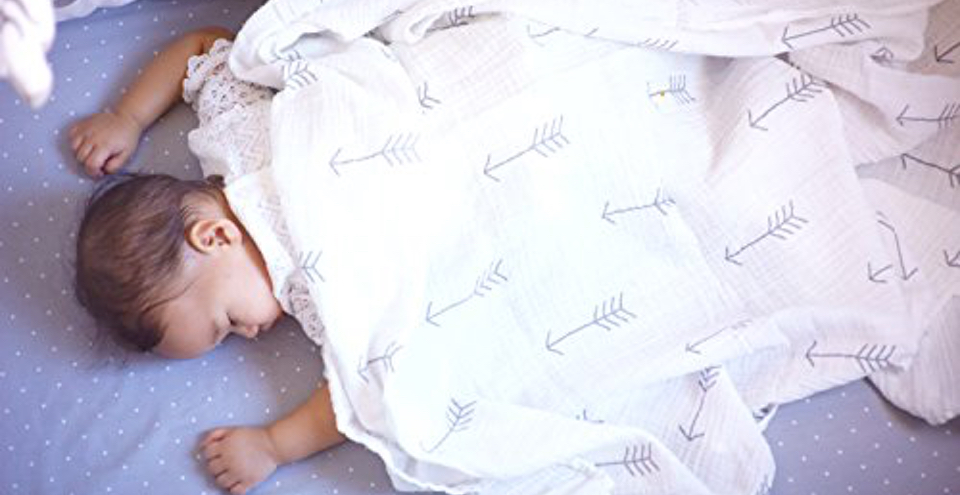 Baby Pegasus 4